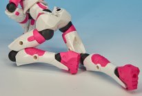 Revoltech NEXUS I.O Integra - AssembleBorg