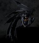 Revoltech Batman - Batman