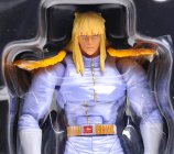 Revoltech Shin - Hokuto no Ken