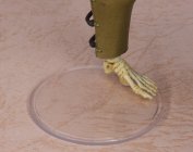 Revoltech Combattant au casque de poisson Mirmillone - Version intégrale en couleur - ND