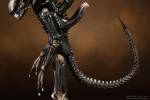 Revoltech Alien - Alien