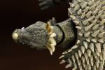 Revoltech Anguirus - Godzilla Raids Again