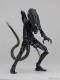Revoltech Alien Warrior - Aliens