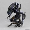 Revoltech Alien Warrior - Aliens