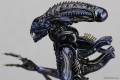 Revoltech Alien Warrior - Aliens