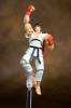 Revoltech Ryu - Street Fighter Online