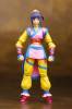 Revoltech Teiran - Street Fighter Online