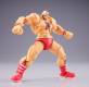 Revoltech Zangief - Street Fighter Online