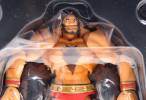 Revoltech Zangief - Street Fighter Online