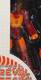 Revoltech Hot Rodimus - The Transformers
