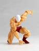 Revoltech Kinnikuman - Kinnikuman