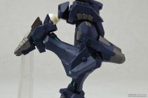 Revoltech F-22A Raptor EMD Phase2 Infinities Type  - Muv Luv