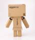 Revoltech Danboard with Amazon logo - Yotsuba&!