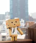 Danboard Mini Beams Ver.